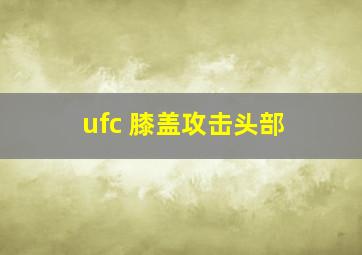 ufc 膝盖攻击头部